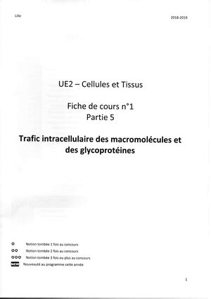 Cours N Le Cycle Cellulaire La Mitose Abras Adonis Ifsi De