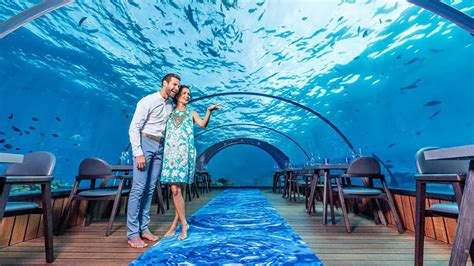 Underwater Restaurants In Maldives Maldives Underwater Restaurants