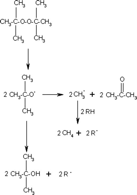 Scheme Decomposition Mechanism Of Di Tert Butyl Peroxide Dtbp