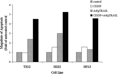 Enhancement Of Apoptosis Of Cultured Cancer Cells Treated With