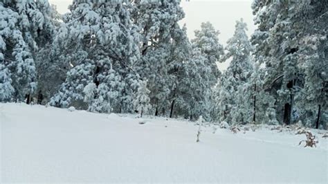 Pronostican Nieve En La Sierra Por 5a Tormenta Invernal InfoChihuahua