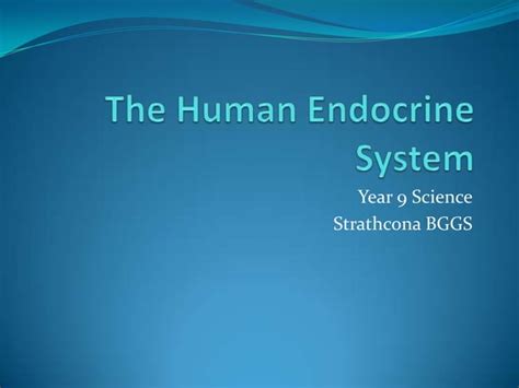 The Human Endocrine System Ppt