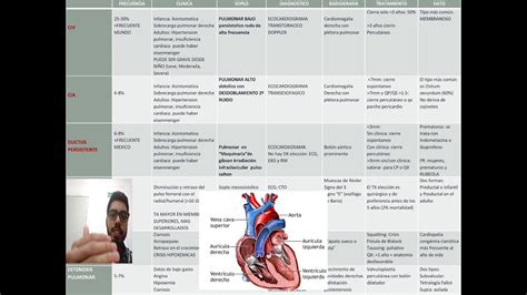 Cardiopatias Congenitas Y Soplos Cardiacos Youtube