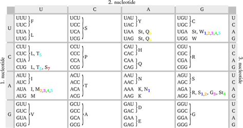 Standard Genetic Code And Naturally Occurring Variants The Standard