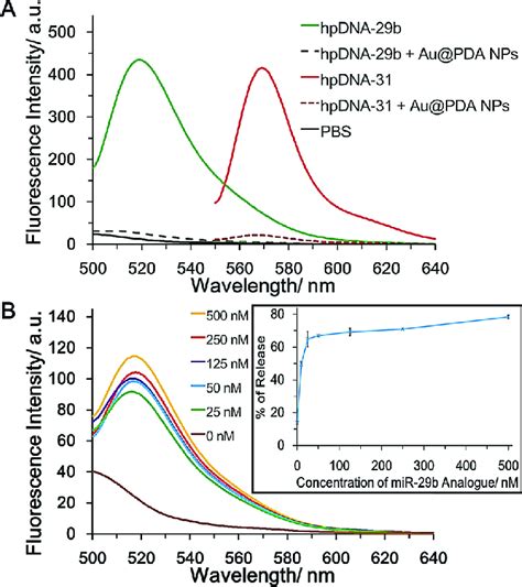 A Fluorescence Emission Spectra Of Nm Of Fluorescently Labeled