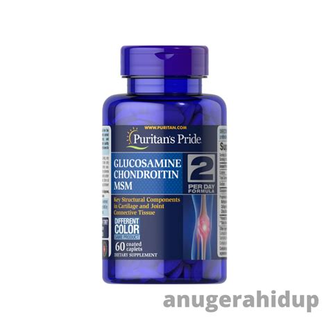 Jual Puritan Pride Glucosamine Chondroitin And Msm 2 Per Day Formula 60 Shopee Indonesia