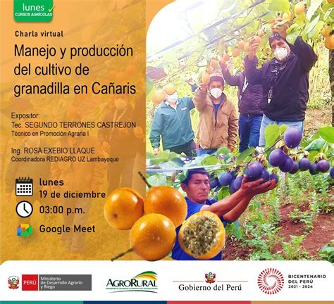 Manejo Y Producci N Del Cultivo De Granadilla En Ca Aris Campa As