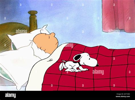 Snoopy Sleeping Cartoon