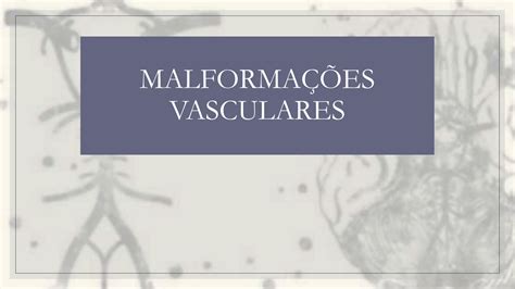 Solution Apresenta O Resumo Malforma Es Vasculares