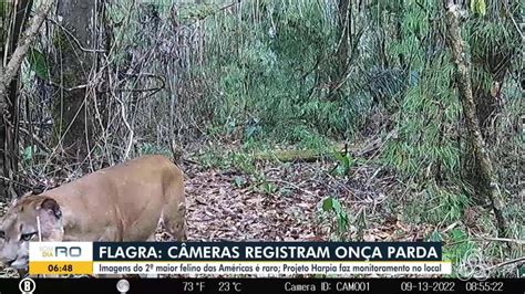 V Deos Bdro De Quarta Feira De Setembro De V Deos Bom Dia