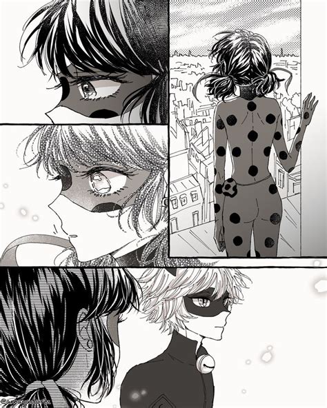 Pin By Dane On Miraculous Miraculous Ladybug Comic Miraculous Ladybug Fan Art Meraculous