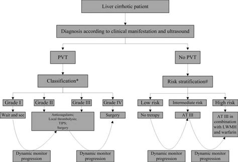 Portal Vein Thrombosis In Liver Cirrhosis Intechopen