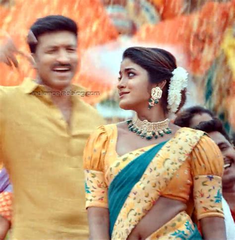 Dimple Hayathi Telugu Ramabanam Hot Saree Hd Stills Starcelebblog