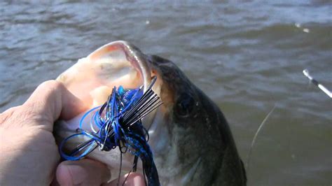 Jigs For Bass How To Catch Big Bass On Jigs Youtube