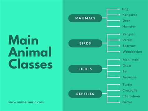 Template Peta Minda Kreatif Dan Menarik Free Mind Maps Infographics