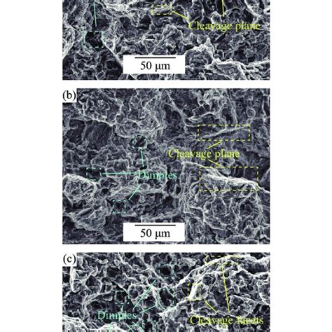 Tensile Fracture Morphologies Of The As Cast Alloys A Alloy 1 B