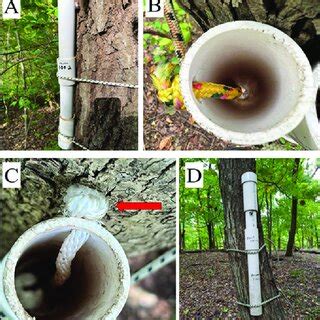 A Polyvinyl Chloride Pvc Pipe Refugia Used To Passively Sample