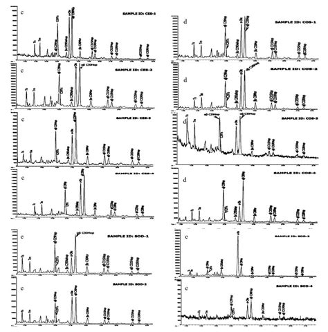 Continued Representative Mass Chromatograms M Z Showing The