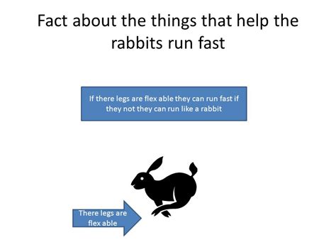 Rabbit Adaptations By Alexis What Do Rabbits Eat Rabbits Eat Carrots