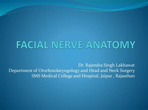 Facial Nerve Anatomy Ppt