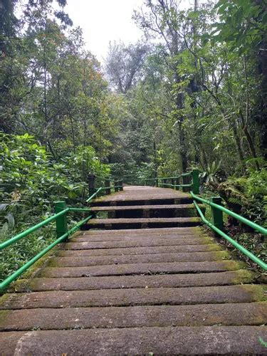 Best Waterfall Trails In Mount Gede Pangrango National Park Alltrails