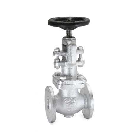 Sant Valves Cast Steel Globe Valve