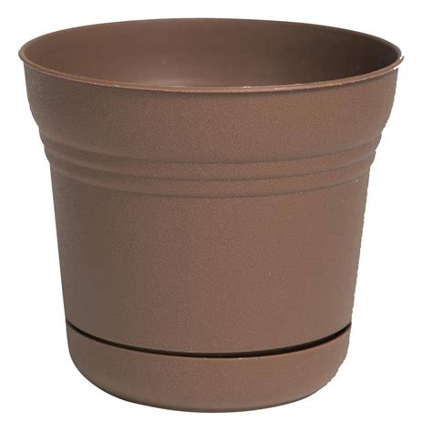 Vigoro In Anne Chocolate Brown Plastic Planter In X In