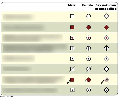 Pedigrees Diagram Quizlet