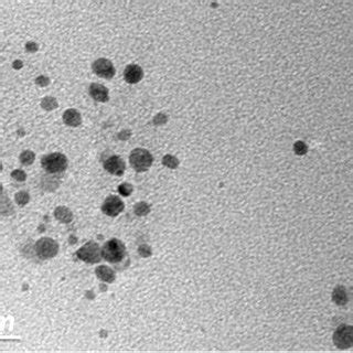 Tem Micrographs At Scale Bar Nm Of Green Synthesized Zno Nps Using