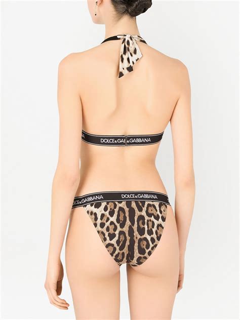 Dolce Gabbana Leopard Print Logo Band Bikini Brown FARFETCH