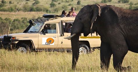 Tage Kenia Wildlife Parks Entdecken Klassische Safari Getyourguide