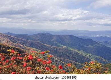 6 609 North Carolina Woods Images Stock Photos Vectors Shutterstock