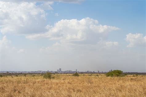 On the Grid : Nairobi National Park