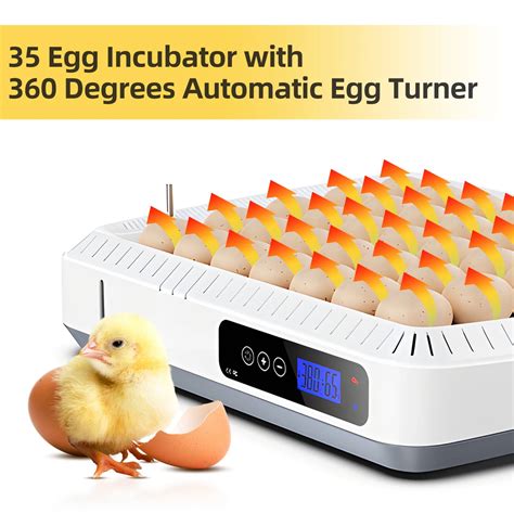 35 Egg Incubator Automatic Egg Turner Incubators For Hatching Eggs With Temperature And Humidity