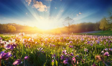 Price List | Ivy Lawn Funeral Home - Camarillo, CA