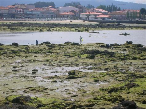 Spain Galicia Pontevedra Cambados Pontevedra Galicia Pueblos De