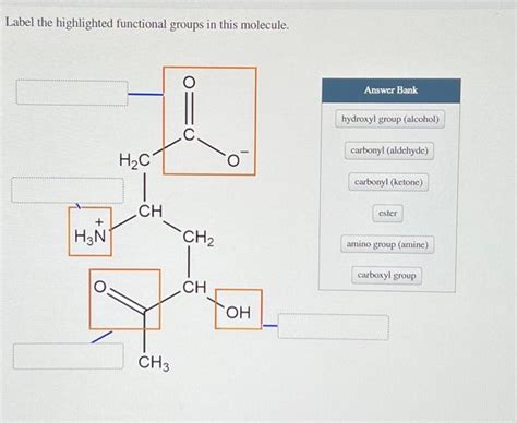 Solved Label The Highlighted Functional Groups In This