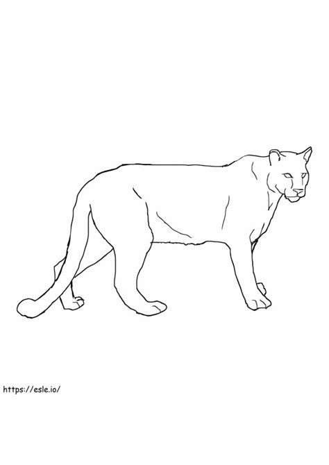 Coloriage Puma Coloriage Dessin A Colorier Imprimables Gratuites Pour