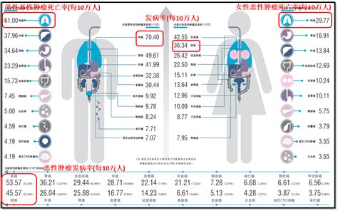 中国恶性肿瘤的发病率和死亡率（2015）