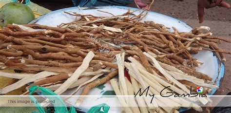 Chewing Stick Or Toothbrush My Gambia