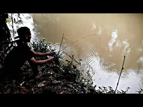 Mancing Liar Di Sungai Target Ikan Genggehek Dengan Teknik Dasaran