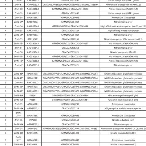 Microarray probes used in this study | Download Table 