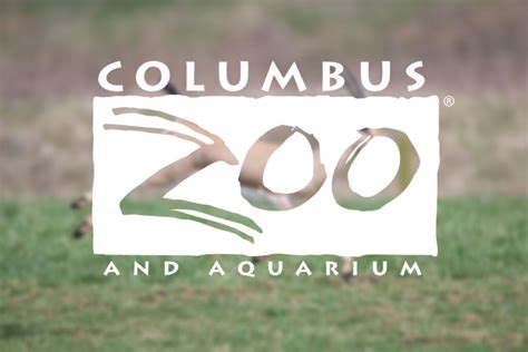 What “Zoo” You Know? | Columbus Zoo and Aquarium