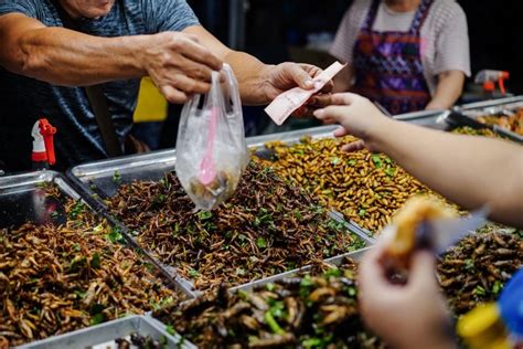 Edible Thai Insects As A Sustainable Superfood Royal Thai Embassy Tehran Iran