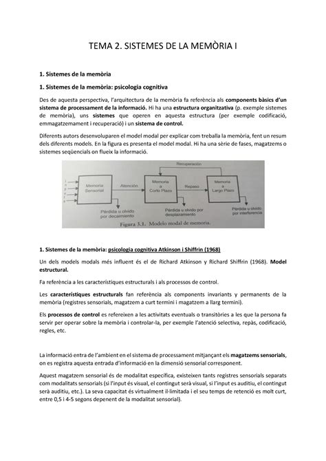 Sistemes De La Mem Ria Tema Sistemes De La Memria I