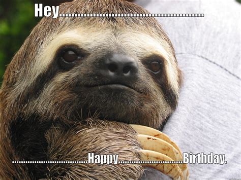 Happy Birthday Sloth Meme - Happy Birthday | Exchrisnge