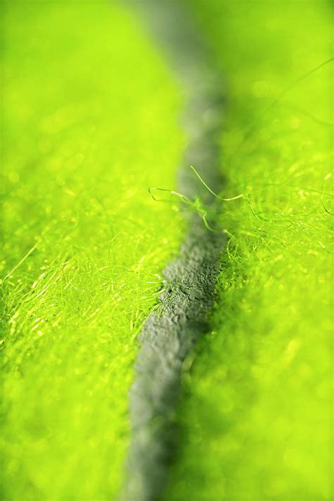 Tennis Ball Macro Photo Photograph by Rob Downer - Pixels