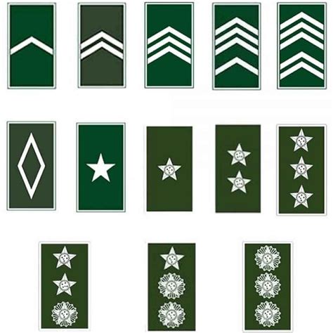 Divisa Distintivo Emborrachado Militar Insígina de Gola EB Estampa 10