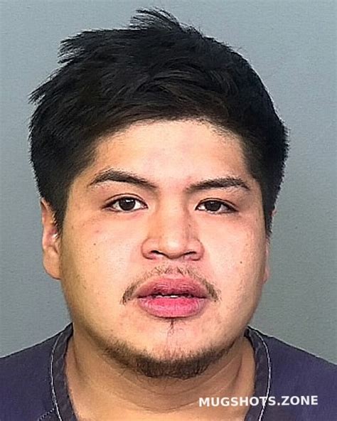 Mateo Zamarripa Elias Manatee County Mugshots Zone