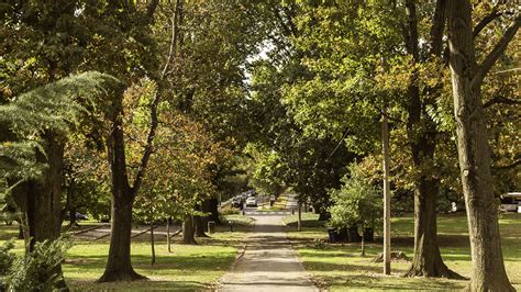 Explore Fall Foliage in Lancaster City - Visit Lancaster City